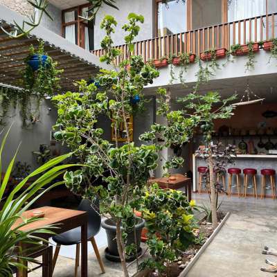 Casa de Poco | Kopp Tours