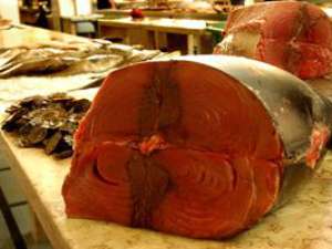 Kopp Tours | Kapverden Landesküche