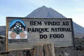 Kopp Tours | Fogo