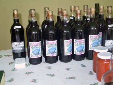 Kopp Tours | Insel Fogo - Chã das Caldeiras