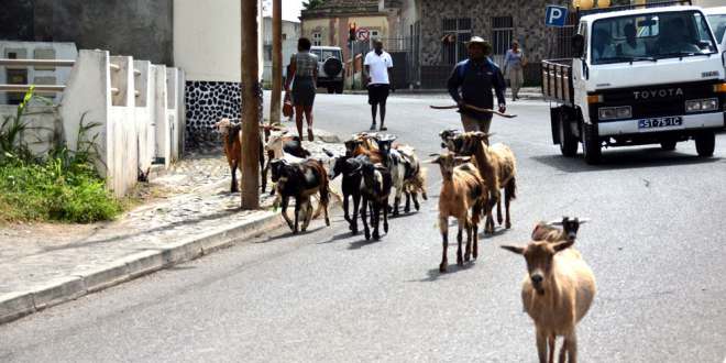 Kopp Tours | Kapverden - Insel Santiago 