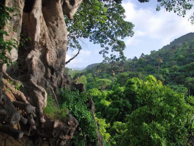 Kopp Tours | Kapverden - Insel Santiago 