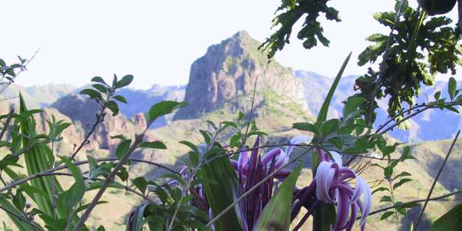 Kopp Tours | Kapverden - Insel Santo Antão